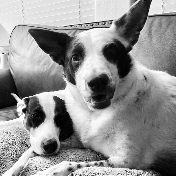 Meet your Posher, Co - Picture 1 of 1